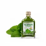 Suc proaspăt de Mentă